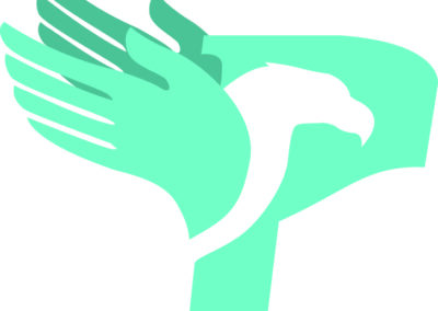 Patient Support Services USA, LLC