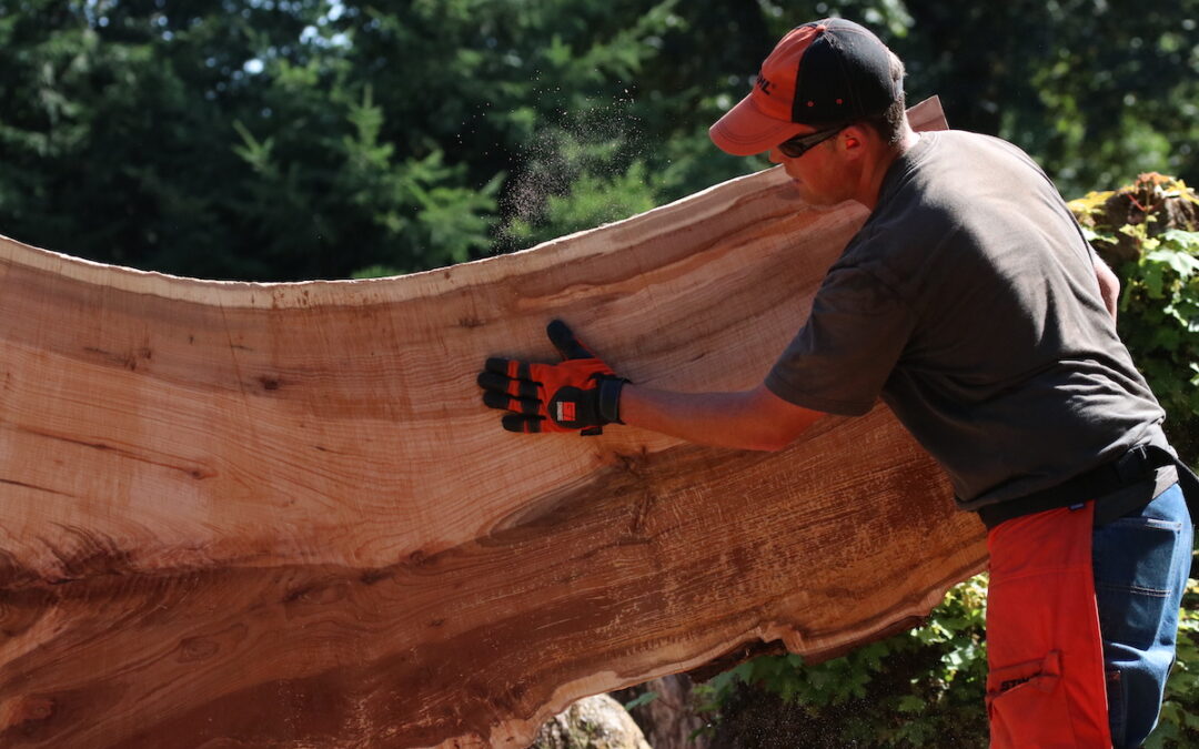 Quigley’s Customs (Sawmill)